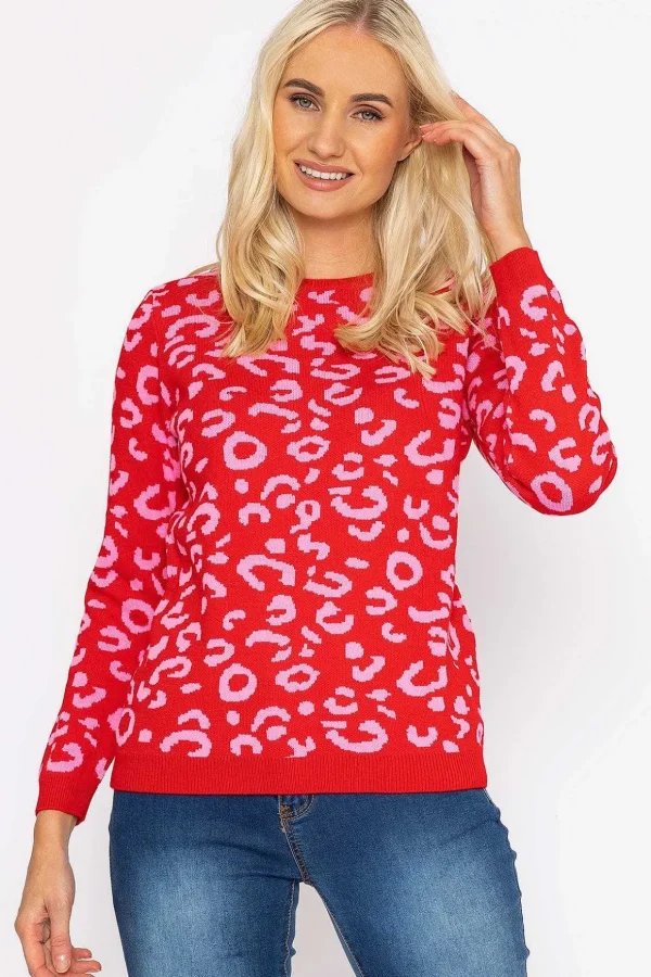 Animal Print Jumper In Pink