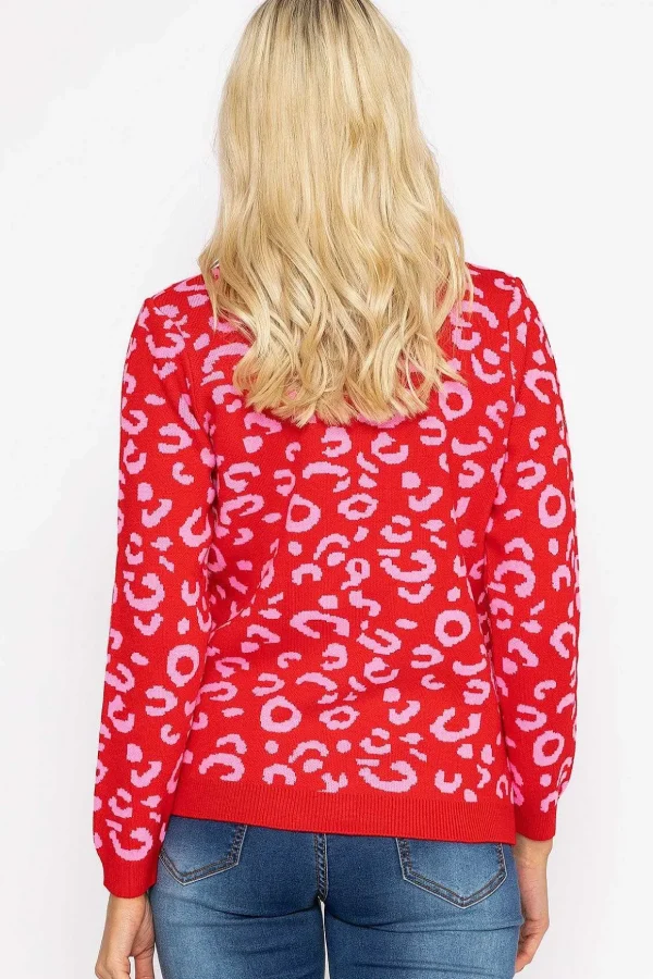 Animal Print Jumper In Pink