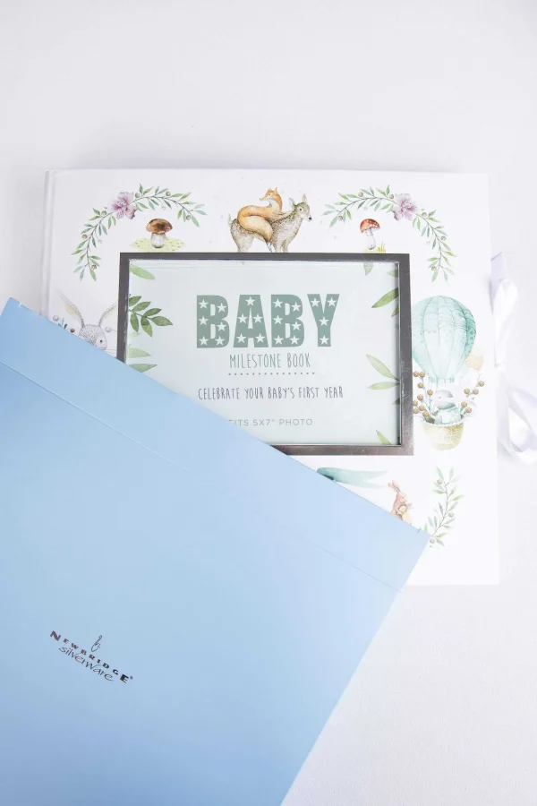 Baby Milestone Book