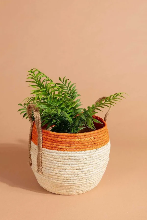 Basket With Handles