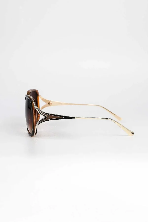 Black And Brown Contrast Arm Sunglasses
