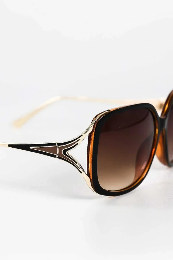 Black And Brown Contrast Arm Sunglasses