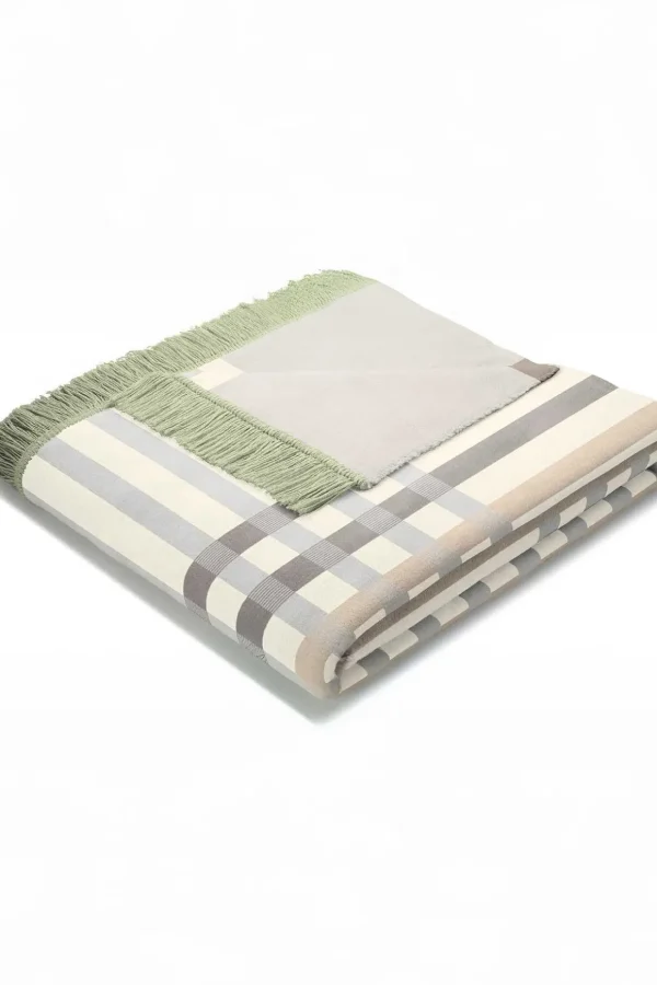 Border Check Green Blanket