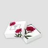 Botanical Cork Backed Coasters