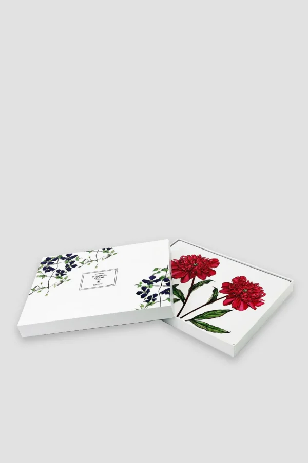 Botanical Cork Backed Placemats S/6