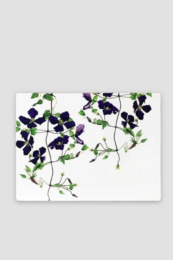 Botanical Cork Backed Placemats S/6