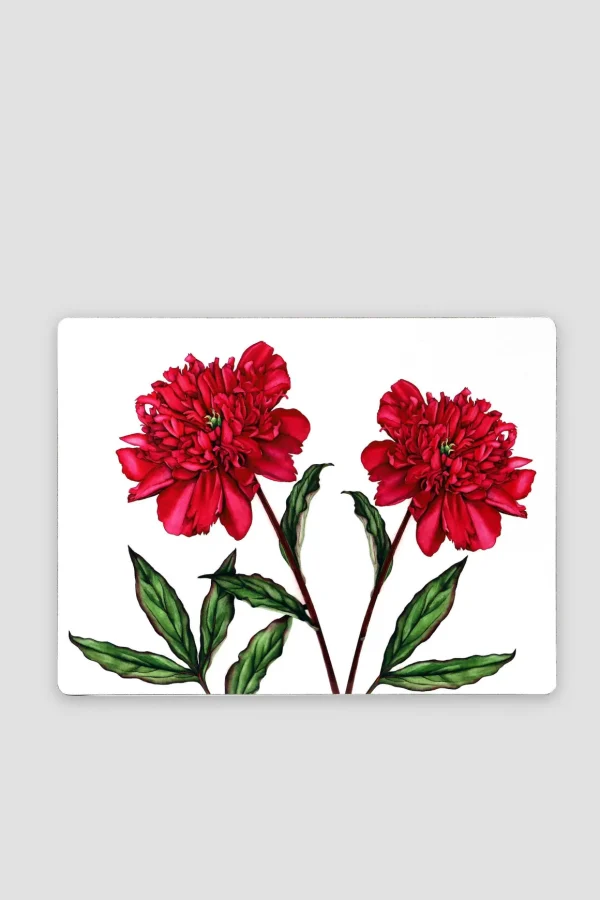 Botanical Cork Backed Placemats S/6