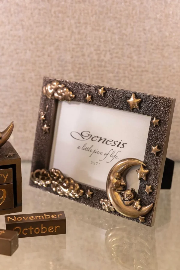 Bronze Moon And Teddy Photo Frame