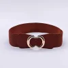 Brown Elastic Belt With Gold Clasp
