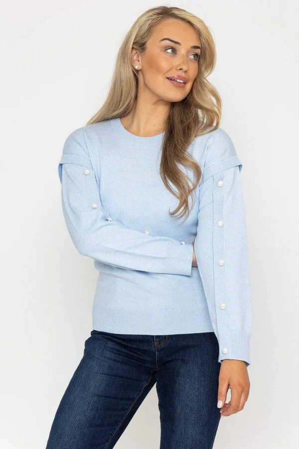 Button Sleeve Knit In Blue
