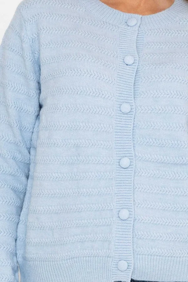 Button Up Cardigan In Blue
