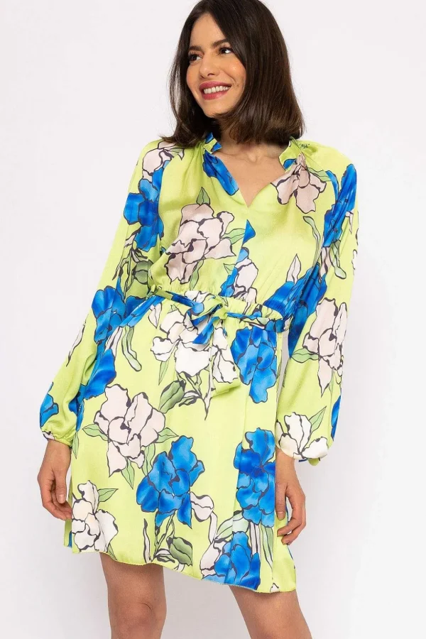 Carolina Green Knee Length Dress