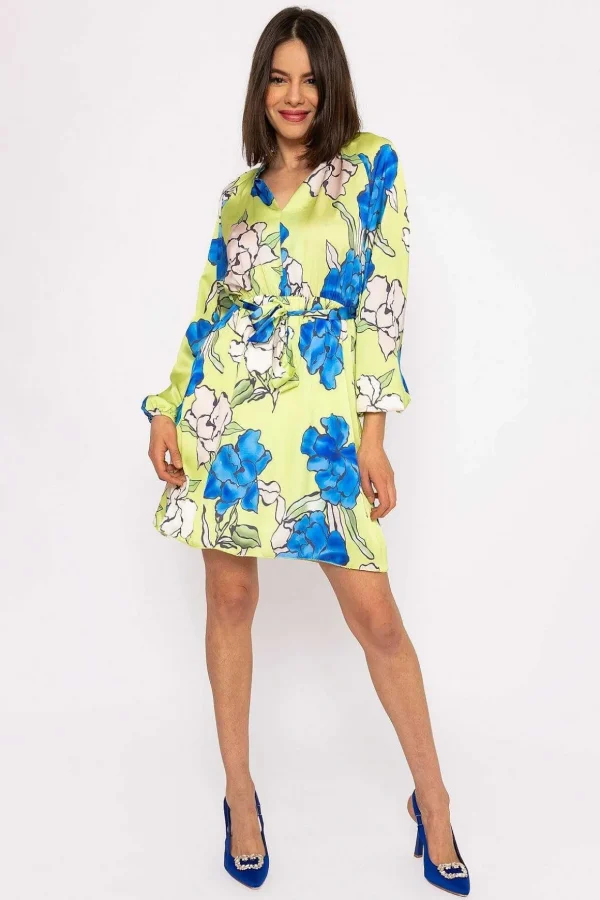 Carolina Green Knee Length Dress