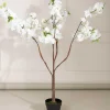 Cherry Blossom Tree