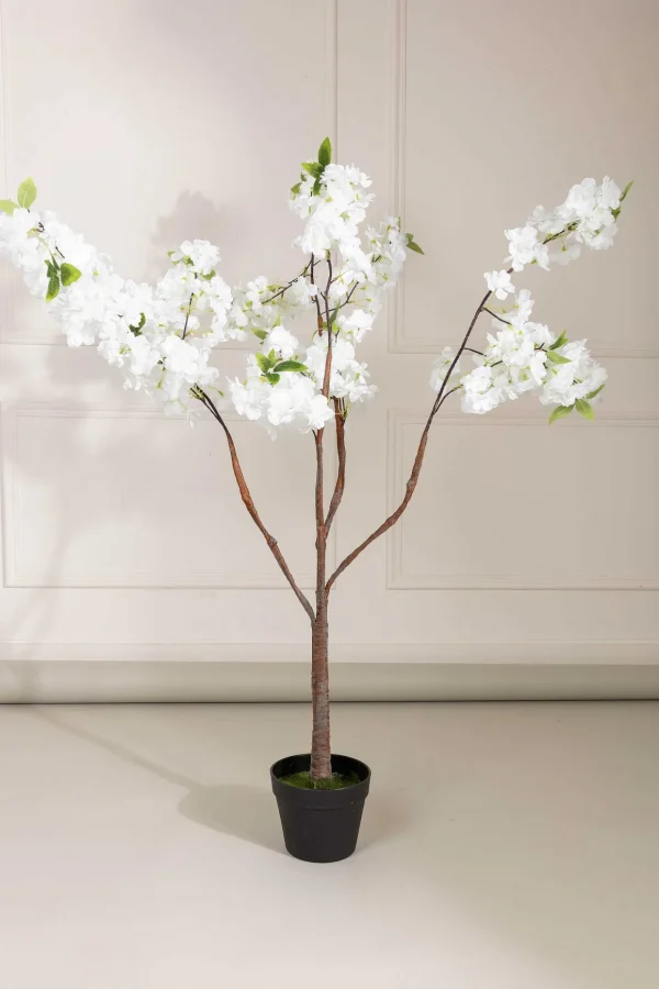 Cherry Blossom Tree
