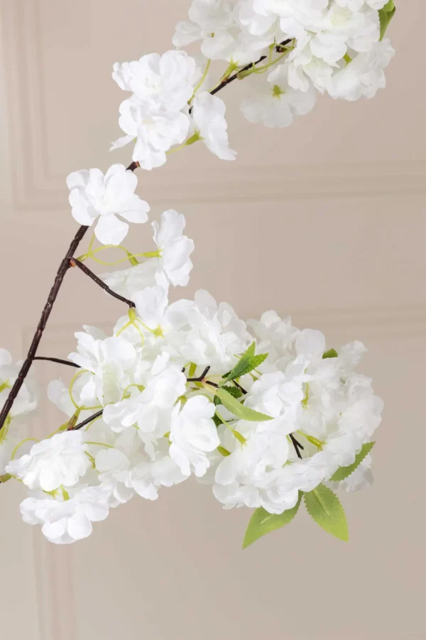 Cherry Blossom Tree