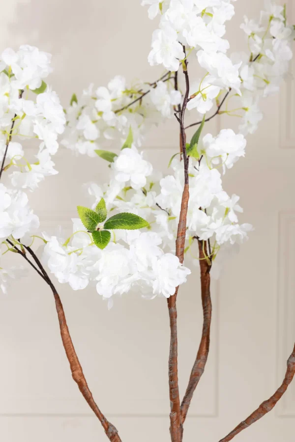 Cherry Blossom Tree
