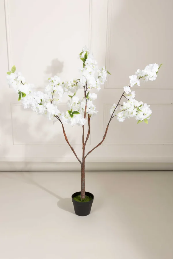 Cherry Blossom Tree