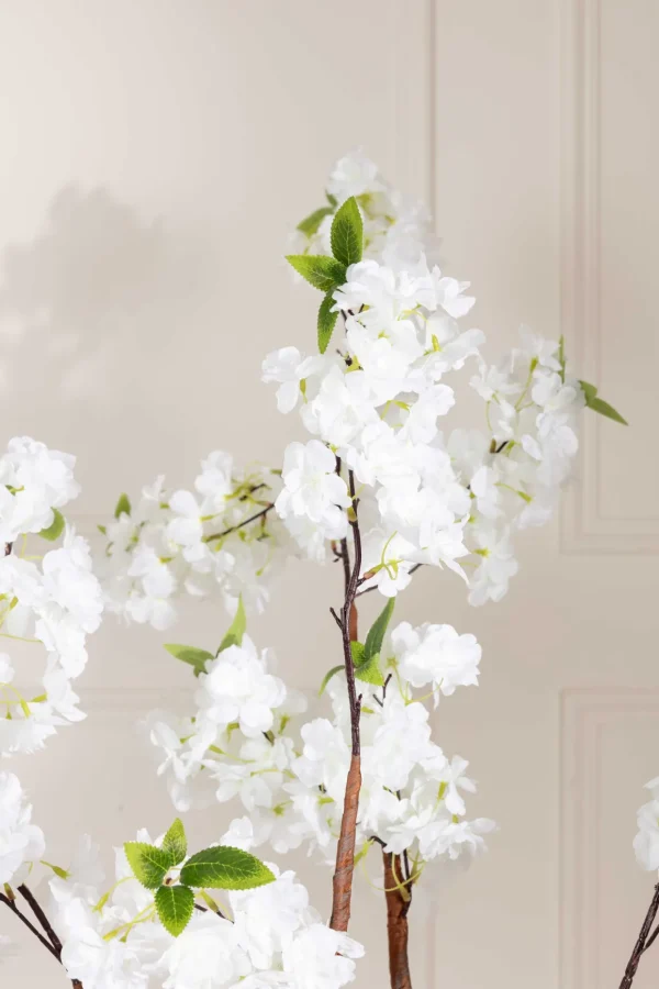 Cherry Blossom Tree