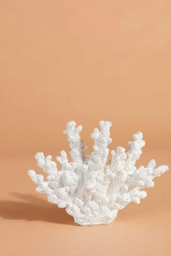 Coral Decor