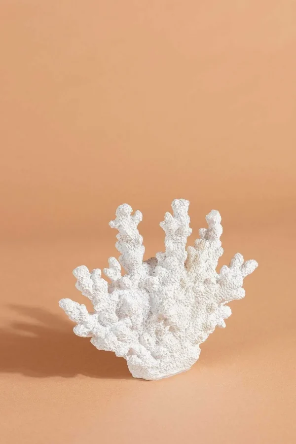 Coral Decor