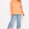 Cotton Sweatshirt In Orange