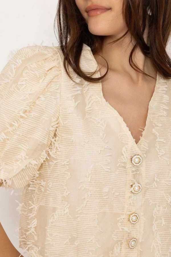 Cream Tulle Cropped Top