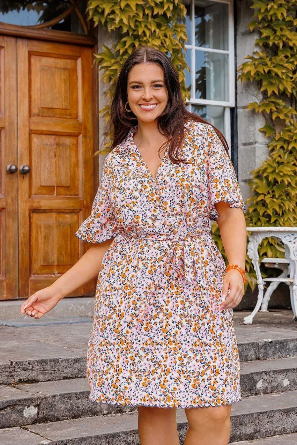 Curve - Ariella Dress In Multi
