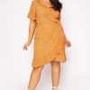 Curve - Delilah Dress In Orange