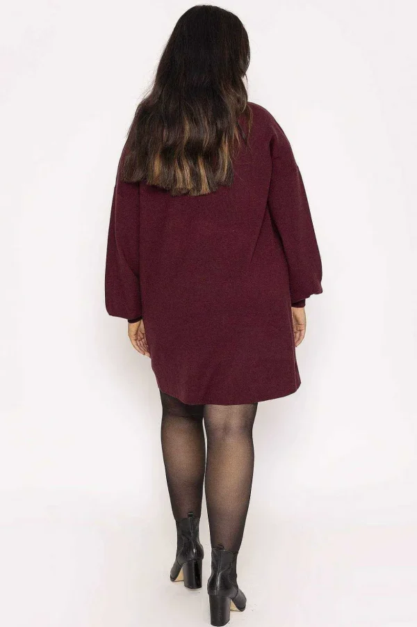 Curve - Nancy Dress In Burgundy