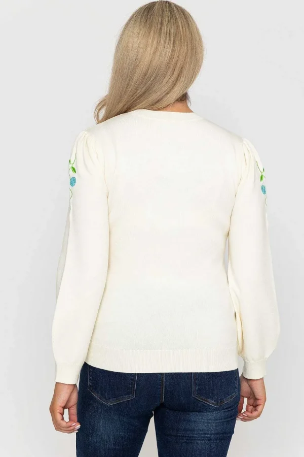 Embroidered Sleeve Knit In Ecru
