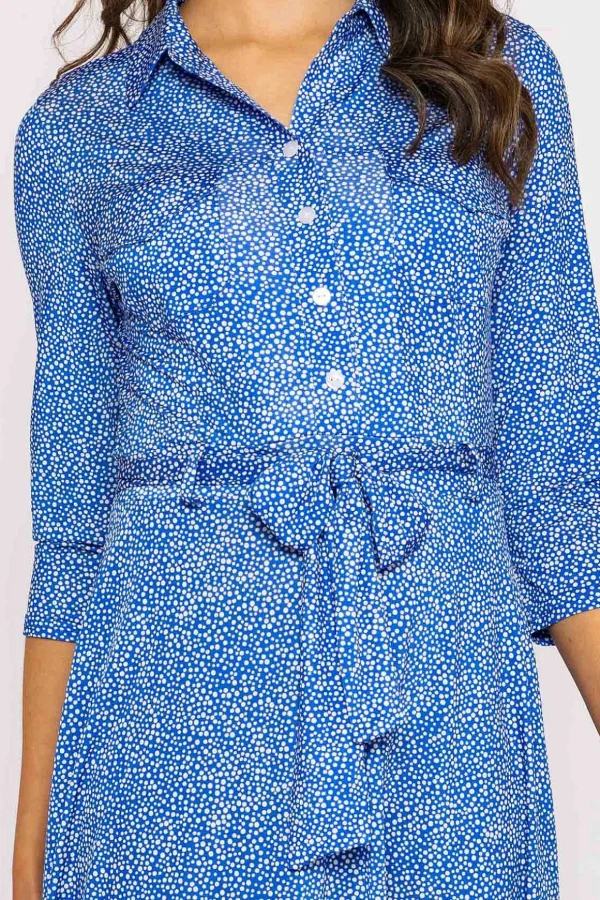 Emer Knee Length Shirt Dress In Blue Print