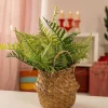 Faux Fern Plant In Basket