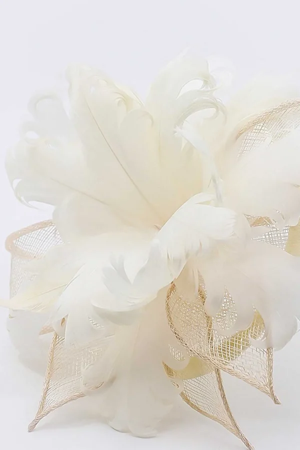 Feather And Flower Fascinator In Cream