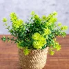 Fern Plant In Basket