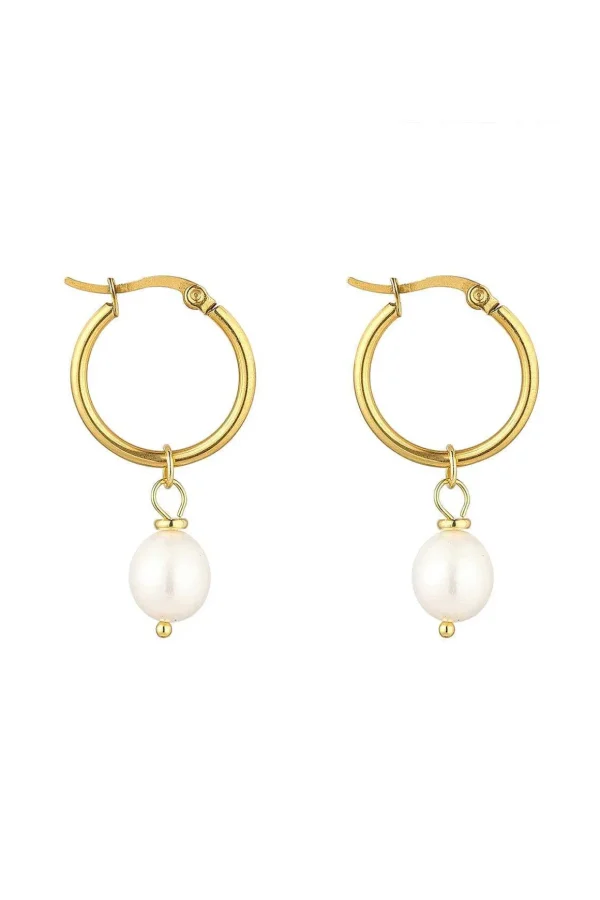 Freshwater Pearl Earrings In Gold