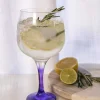 Jewel Glass Gin Glasses