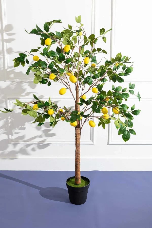 Lemon Tree