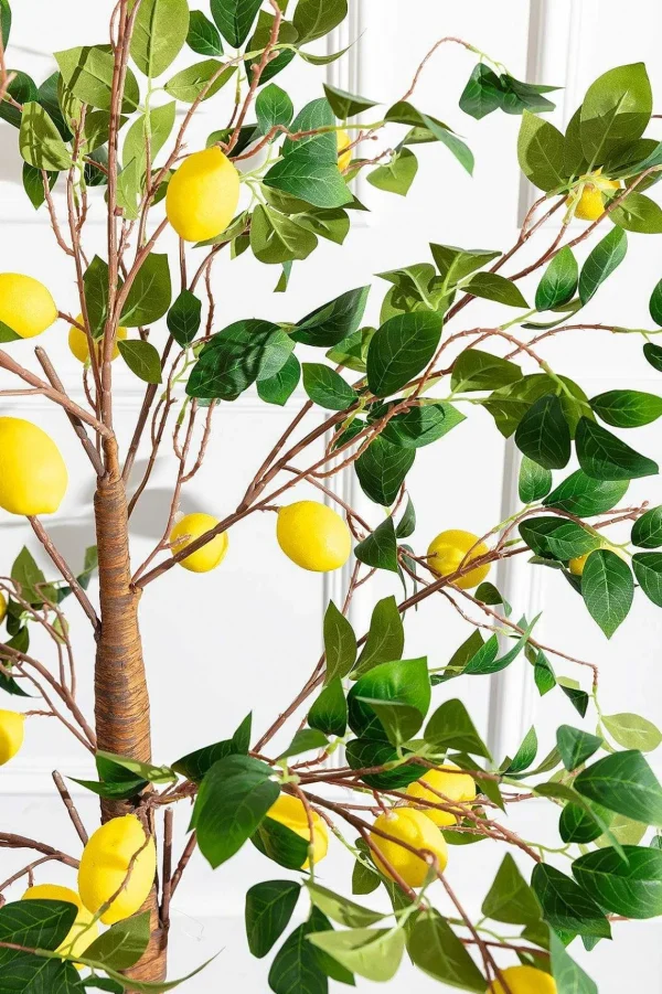 Lemon Tree