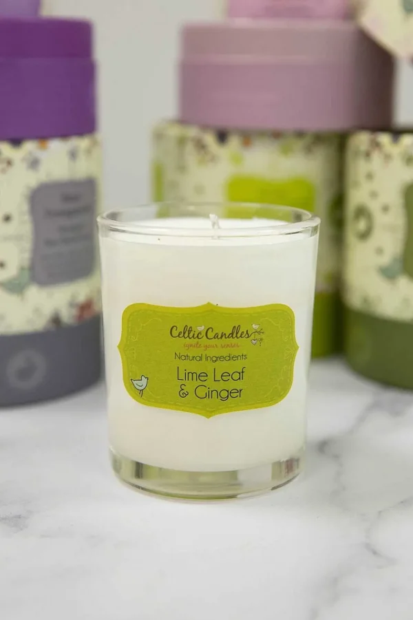 Lime Leaf And Ginger Aromapot Round Tumbler 20Cl