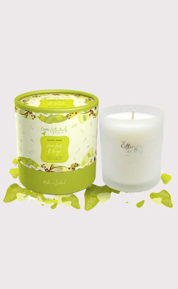 Lime Leaf And Ginger Aromapot Round Tumbler 20Cl