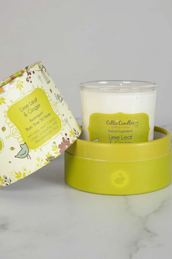Lime Leaf And Ginger Aromapot Round Tumbler 20Cl