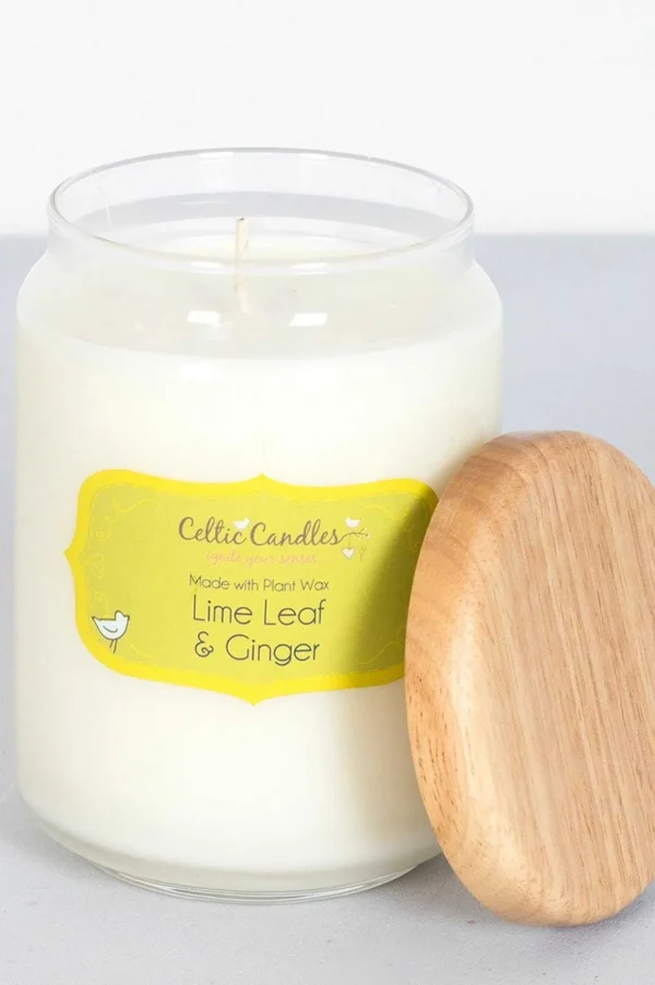 Lime Leaf And Ginger Fragrance Diffuser