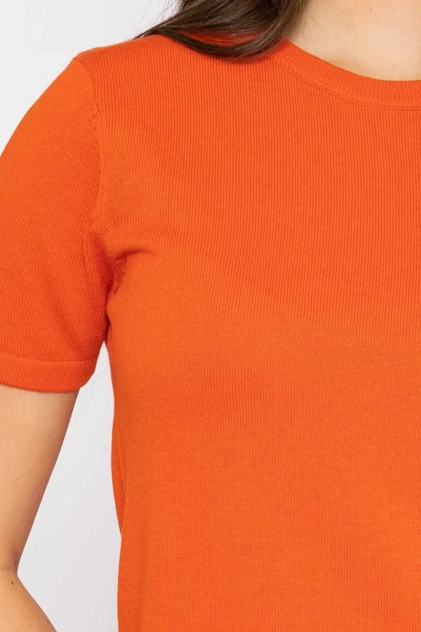 Merino Short Sleeve Crew In Orange
