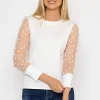 Mesh Long Sleeve Top In Ecru