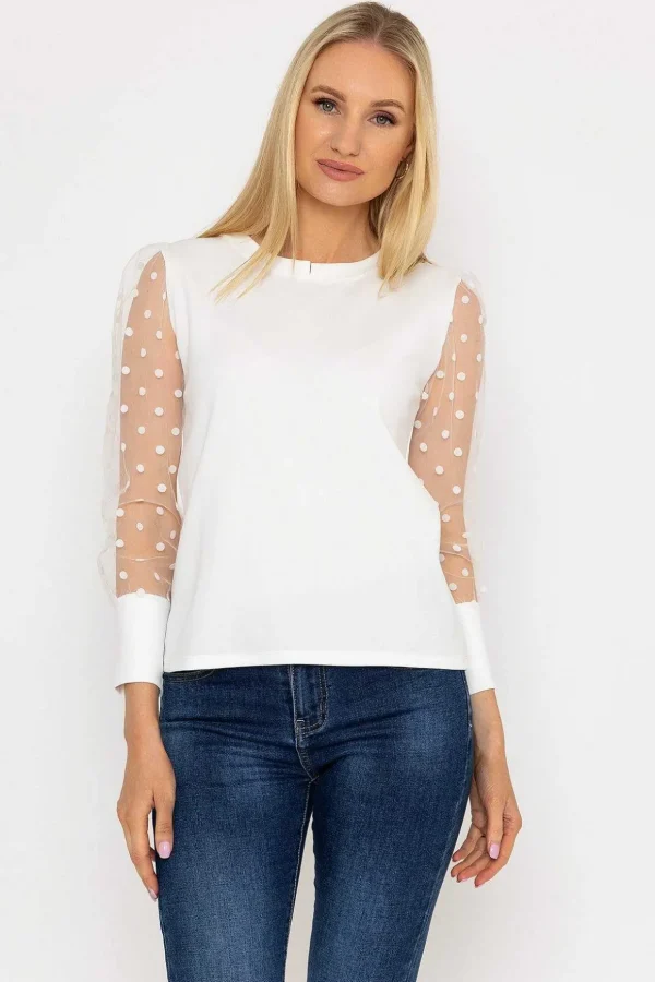 Mesh Long Sleeve Top In Ecru