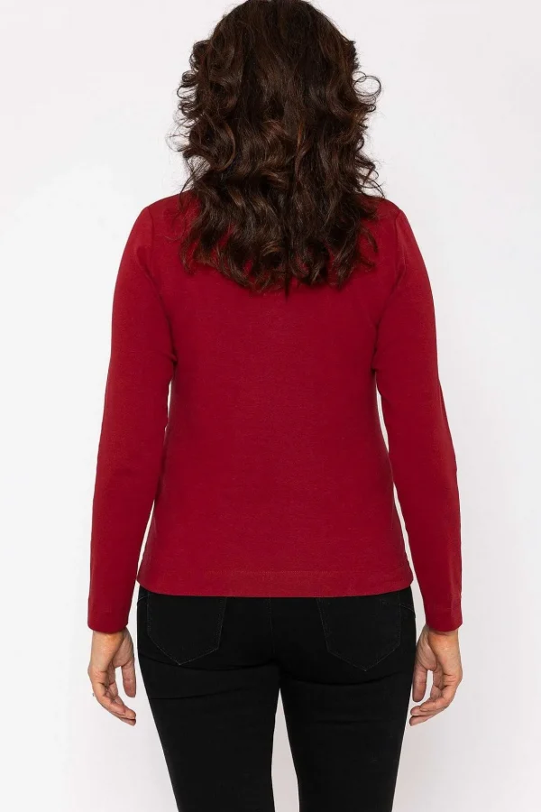 Plain Collared Top In Burgundy
