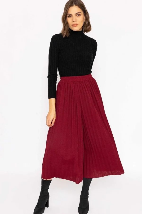 Pleated Wide Leg Pant In Burgundy
