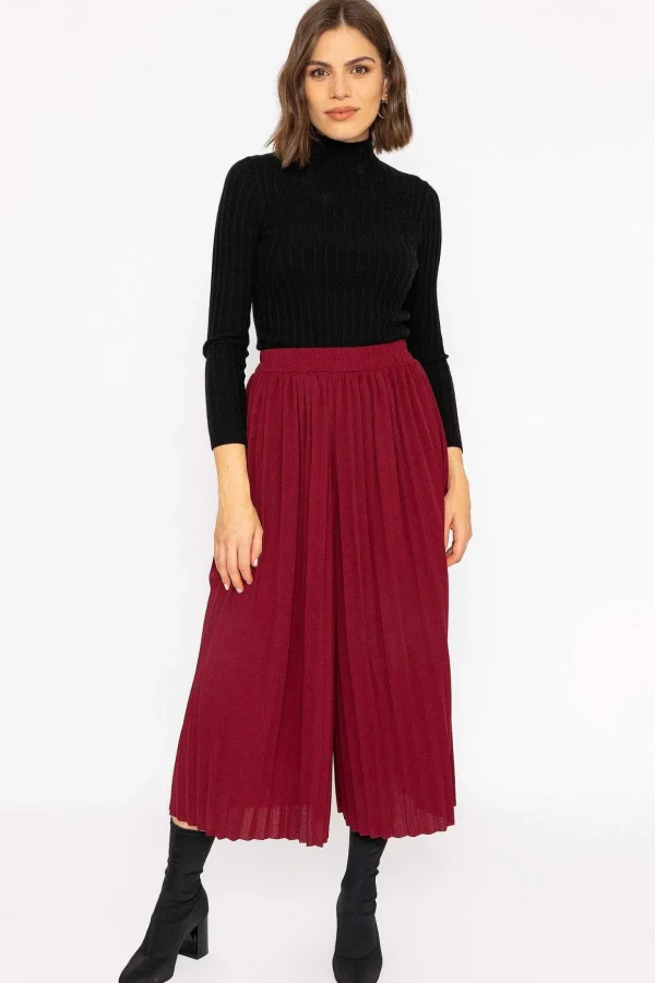 Pleated Wide Leg Pant In Burgundy