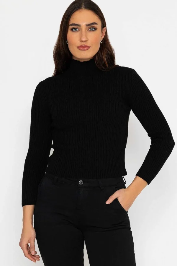 Rib Polo Knit In Black